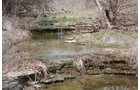 Property photo 6 - ABSOLUTE AUCTION - 298 Acres Offered in 4 Tracts